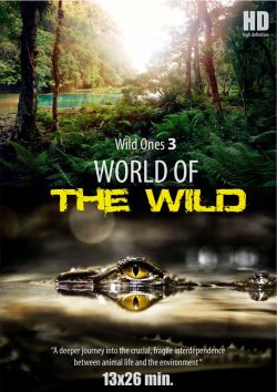 Світ дикої природи / World of The Wild...