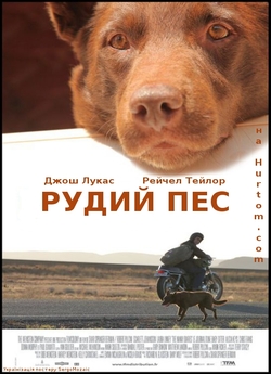 Рудий пес / Red Dog (2011) BDRip...