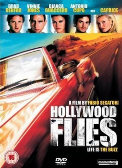 Нальотчики з Голівуда / Hollywood Flies...