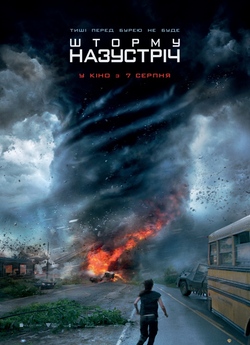 Шторму назустріч / Into the Storm...