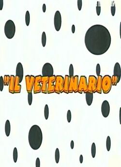 Ветеринар / Il Veterinario (2005) TVRip
