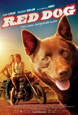 Рудий пес / Red Dog (2011) BDRip...