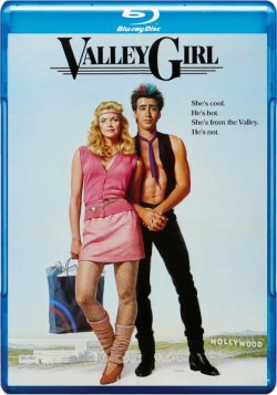 Дівчина з долини / Valley Girl (1983)...