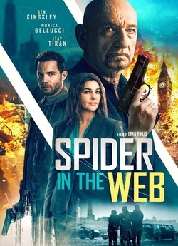 Павук у павутині / Spider in the Web...