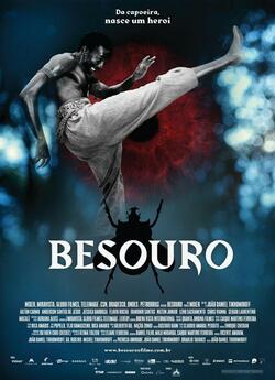 Жук / Besouro / The Assailant (2009)...