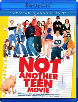 Недитяче кіно / Not Another Teen Movie...