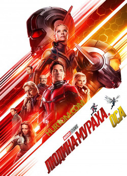 Людина-мурах<wbr>а та Оса / Ant-Man and the...