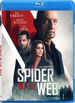 Павук у павутині / Spider in the Web...