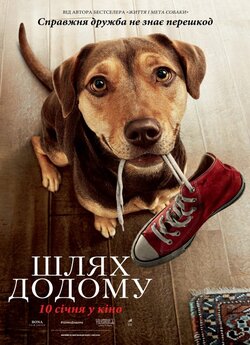 Шлях додому / A Dog's Way Home...