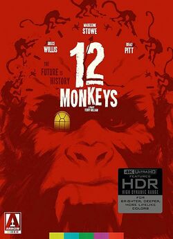 Дванадцять мавп / Twelve Monkeys (1995)...