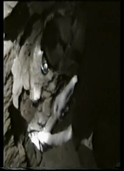 Підземні ходи Присамар'я (2005)...