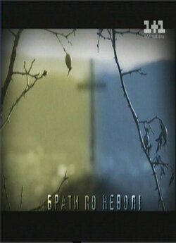 Брати по неволі (2006) SATRip