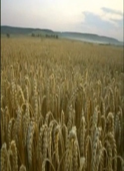 І впали окови (2009) TVRip