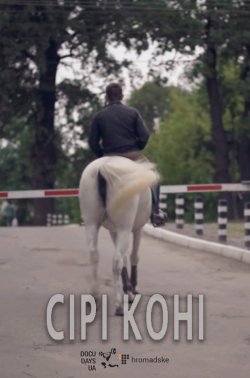 Сірі коні / Gray Horses (2016) IPTVRemux