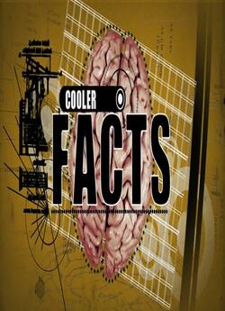 Ого факти (5 епізодів) / Cooler Facts...
