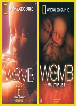 В утробі матері (2 серії) / In the Womb...