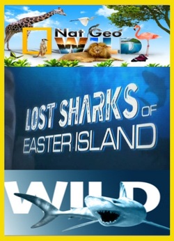 Акули острова Пасхи / Lost Sharks of...