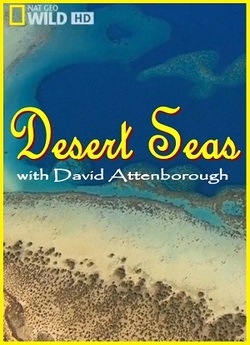 Моря в пустелі / Desert Seas (2011)...