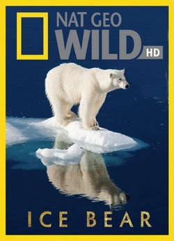 Білий ведмідь / Ice Bear (2012) BDRip...