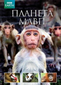 Планета мавп / Monkeys Revealed (2014)...