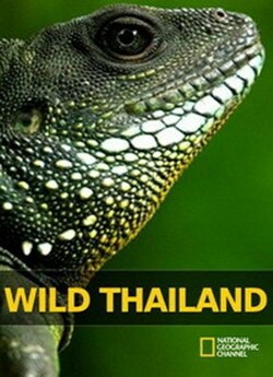 Дикий Таїланд / Wild Thailand (2013)...