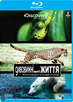 Дивовижні миті життя / Speed of Life...