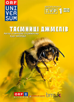 Таємниці джмелів / Hummeln - Bienen im...