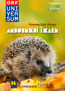Дивовижні їжаки / The Year of the...
