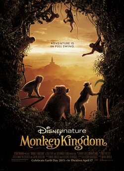 Королівство мавп / Monkey Kingdom...