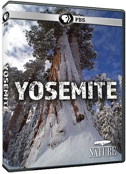 Йосеміті / Yosemite (2017) HDTVRip 720p...