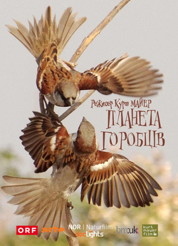 Планета горобців / Sparrow Planet...