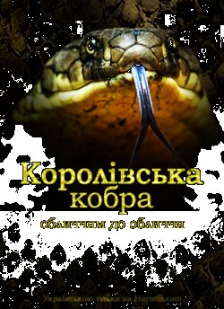 Королівська кобра: обличчям до обличчя...