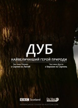 Дуб. Найвеличніши<wbr>й герой природи (частин...