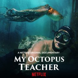 Мій учитель - восьминіг / My Octopus...