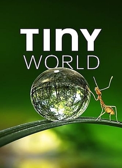 Крихітний світ (Сезон 1) / Tiny World...