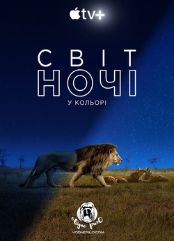 Світ ночі у кольорі (Сезон 1) / Earth...