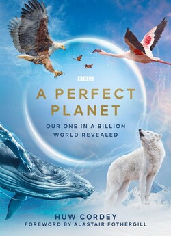 Досконала планета (Сезон 1) / A Perfect...