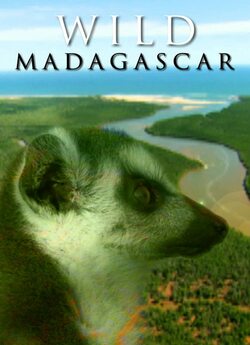 Дикий Мадагаскар / Wild Madagascar..<wbr>.
