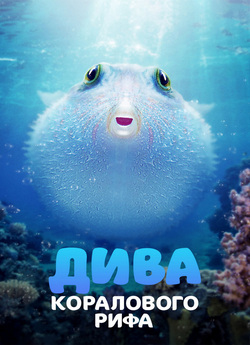 Дива коралового рифа / Puff: Wonders of...