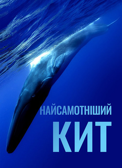 Найсамотніши<wbr>й кит / The Loneliest...<wbr>