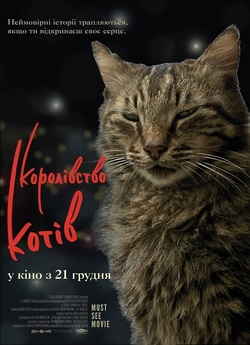Кіт / Королівство котів / Kedi (2016)...