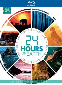 Дожити до ранку / 24 Hours on Earth...