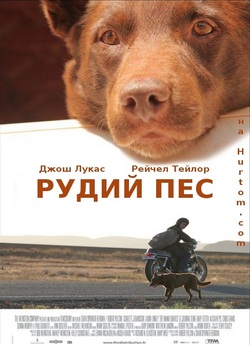 Рудий пес / Red Dog (2011) BDRip 1080p...