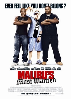 Розшукується<wbr> у Малібу / Malibu...