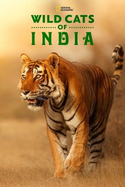 Дикі кішки Індії / Wild Cats of India...