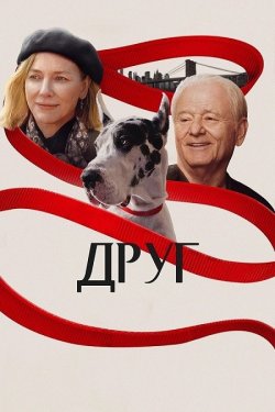 Друг / The Friend (2024) BDRip Ukr/Eng